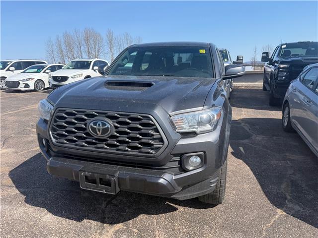 2022 Toyota Tacoma Base (Stk: 24804) in Pembroke - Image 2 of 5