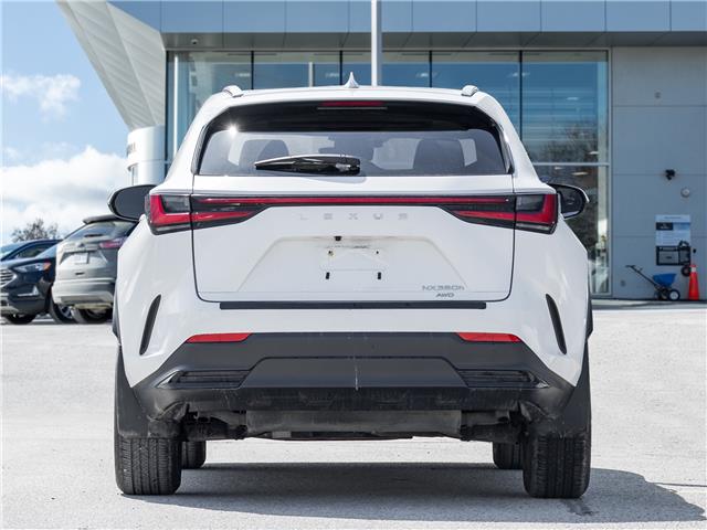 2026 Lexus NX 350h  (Stk: 15105643A) in Richmond Hill - Image 6 of 27