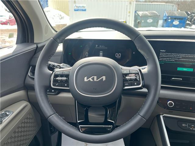2026 Kia Carnival Hybrid EX (Stk: CR26011) in Cold Lake - Image 8 of 31