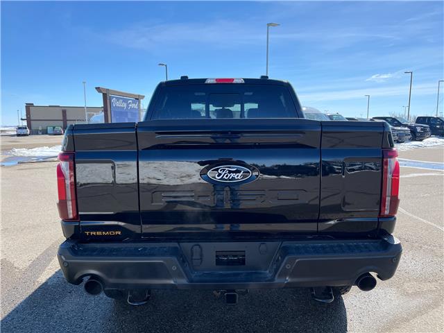 2026 Ford F-150 Tremor (Stk: T48509) in Hague - Image 7 of 13