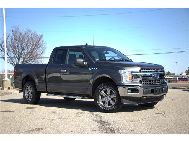 2019 Ford F-150  (Stk: DZ902A) in Ottawa - Image 1 of 12