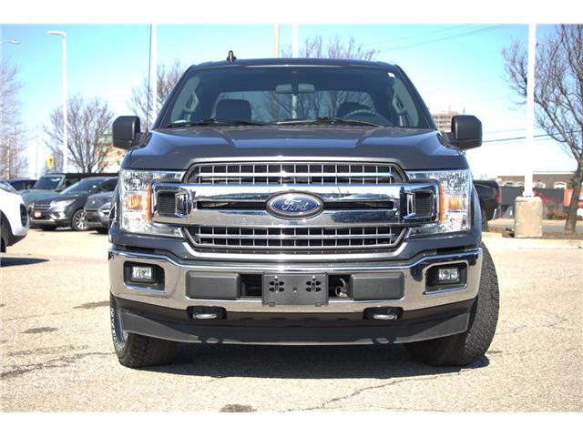 2019 Ford F-150  (Stk: DZ902A) in Ottawa - Image 2 of 12