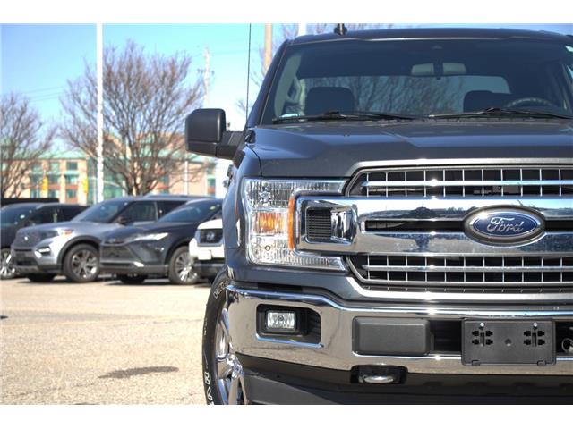 2019 Ford F-150  (Stk: DZ902A) in Ottawa - Image 3 of 12