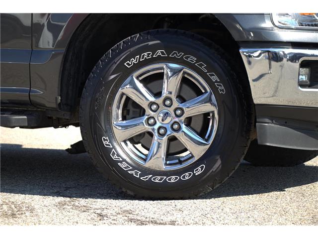 2019 Ford F-150  (Stk: DZ902A) in Ottawa - Image 4 of 12