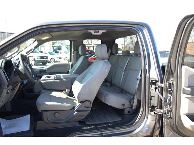 2019 Ford F-150  (Stk: DZ902A) in Ottawa - Image 7 of 12