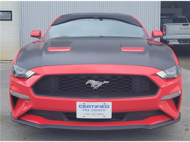 2021 Ford Mustang  (Stk: 69984A) in Sudbury - Image 2 of 18