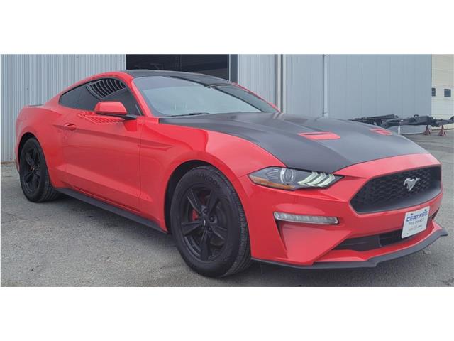 2021 Ford Mustang  (Stk: 69984A) in Sudbury - Image 3 of 18