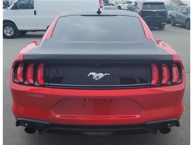 2021 Ford Mustang  (Stk: 69984A) in Sudbury - Image 6 of 18