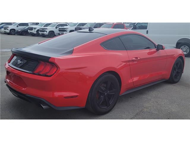 2021 Ford Mustang  (Stk: 69984A) in Sudbury - Image 7 of 18