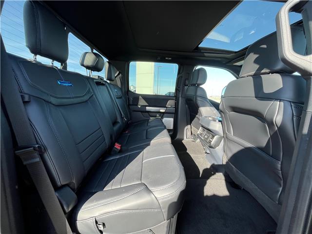 2026 Ford F-350 Platinum (Stk: T95633) in Hague - Image 13 of 14