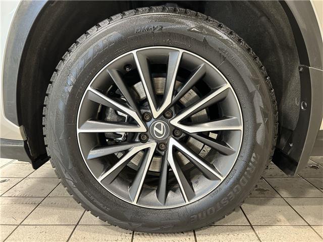 2024 Lexus NX 250  (Stk: 14U7430) in Markham - Image 11 of 25