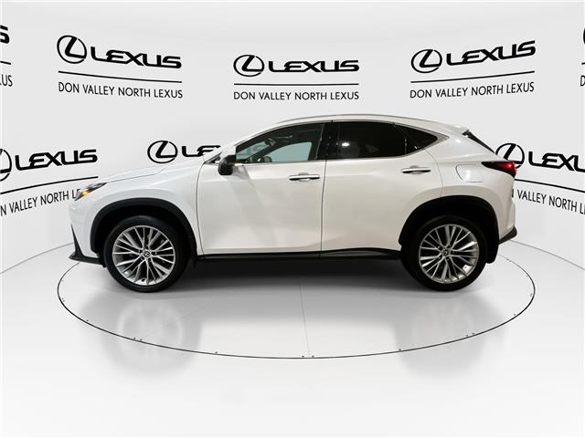 2024 Lexus NX 350  (Stk: 14U7411) in Markham - Image 6 of 29