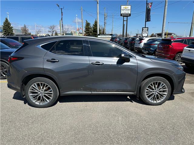 2024 Lexus NX 350 Base (Stk: NR17270) in Newmarket - Image 2 of 7