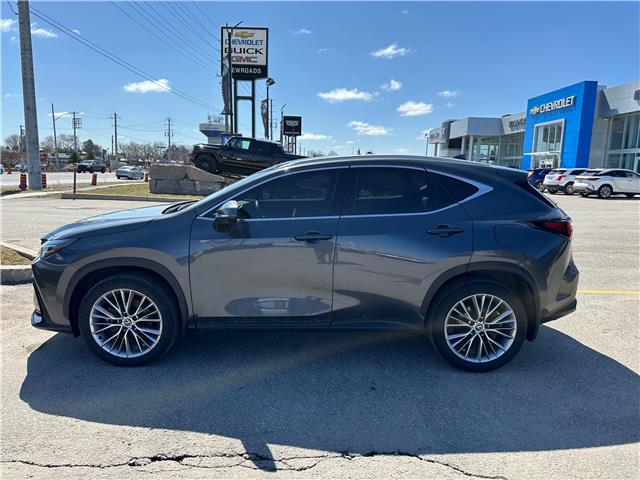 2024 Lexus NX 350 Base (Stk: NR17270) in Newmarket - Image 4 of 7