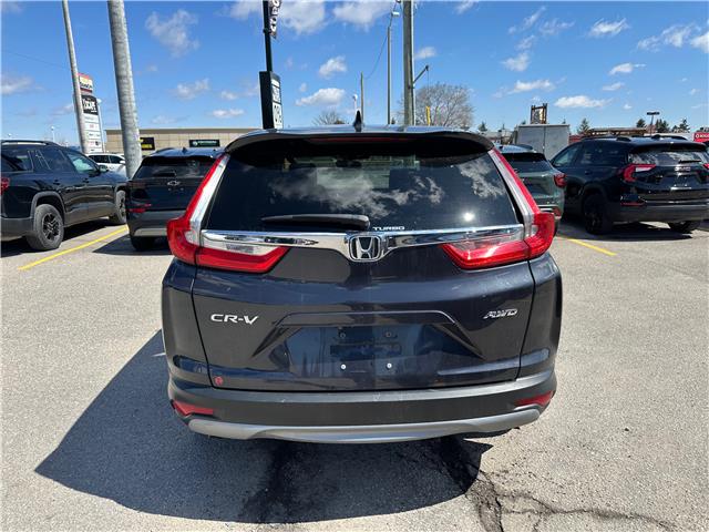 2019 Honda CR-V EX (Stk: Z305984A) in Newmarket - Image 3 of 7