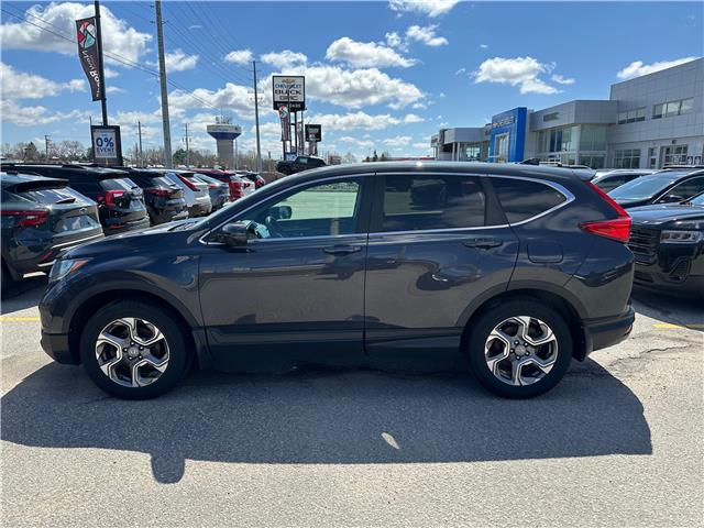 2019 Honda CR-V EX (Stk: Z305984A) in Newmarket - Image 4 of 7