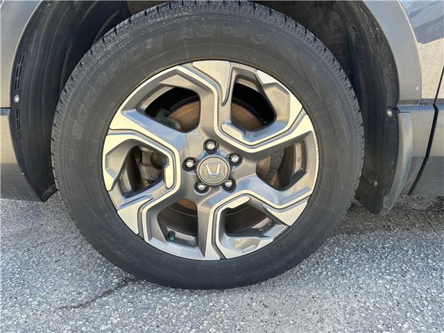 2019 Honda CR-V EX (Stk: Z305984A) in Newmarket - Image 5 of 7