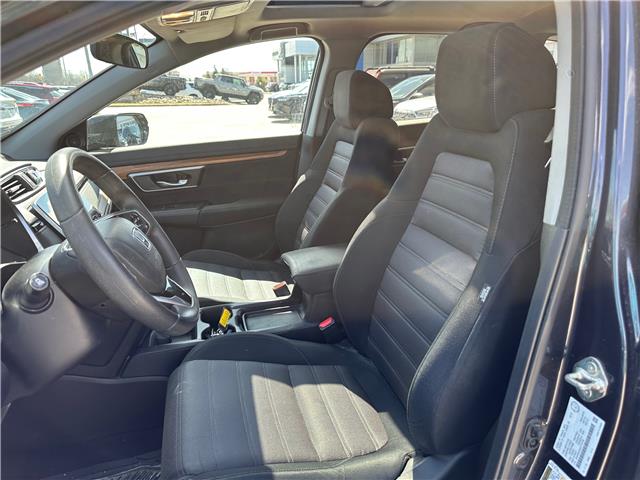 2019 Honda CR-V EX (Stk: Z305984A) in Newmarket - Image 6 of 7