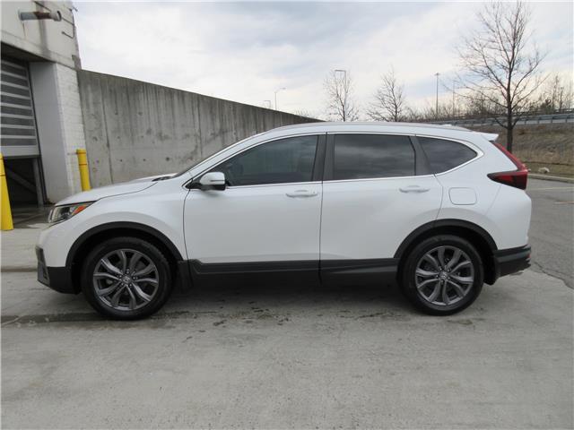 2020 Honda CR-V Sport (Stk: K21460A) in Ottawa - Image 3 of 20