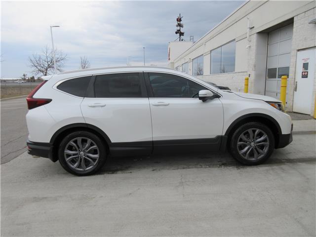 2020 Honda CR-V Sport (Stk: K21460A) in Ottawa - Image 7 of 20