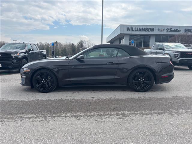 2022 Ford Mustang GT Premium (Stk: U9150A) in Uxbridge - Image 4 of 25