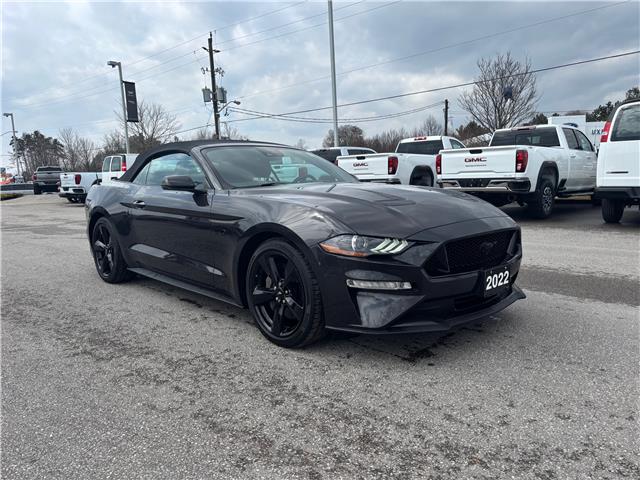 2022 Ford Mustang GT Premium (Stk: U9150A) in Uxbridge - Image 9 of 25