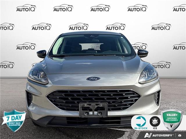 2021 Ford Escape SE (Stk: 26C26A) in Tillsonburg - Image 2 of 7