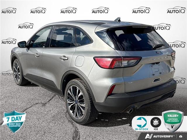 2021 Ford Escape SE (Stk: 26C26A) in Tillsonburg - Image 4 of 7