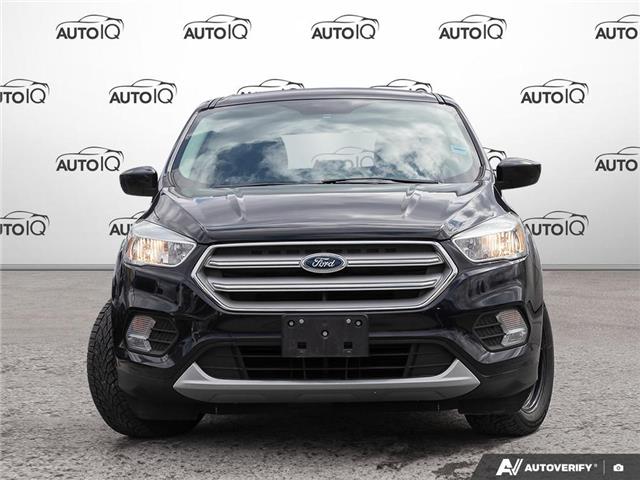 2019 Ford Escape SE (Stk: 502743) in St. Catharines - Image 2 of 27