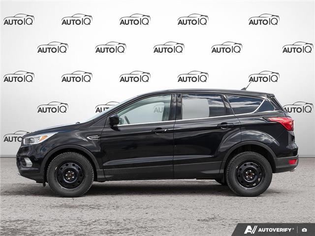 2019 Ford Escape SE (Stk: 502743) in St. Catharines - Image 3 of 27