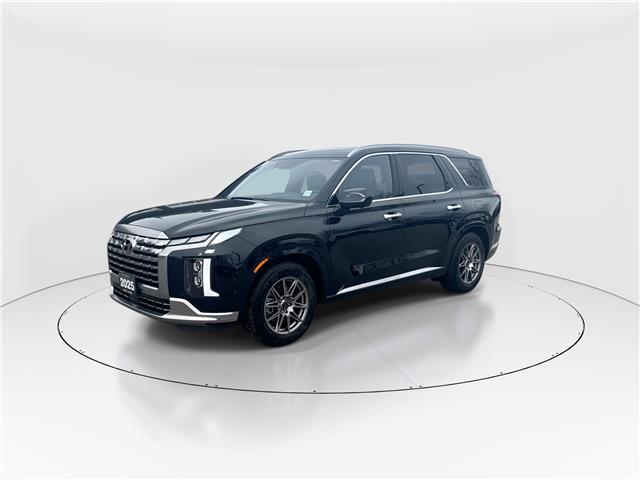 2025 Hyundai Palisade Ultimate Calligraphy (Stk: 16U101691) in Markham - Image 4 of 12