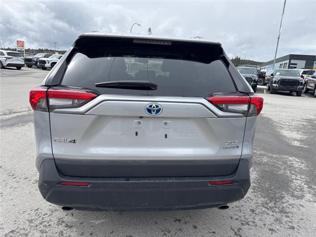 2024 Toyota RAV4 Hybrid XLE (Stk: 3040092A) in Cranbrook - Image 4 of 19