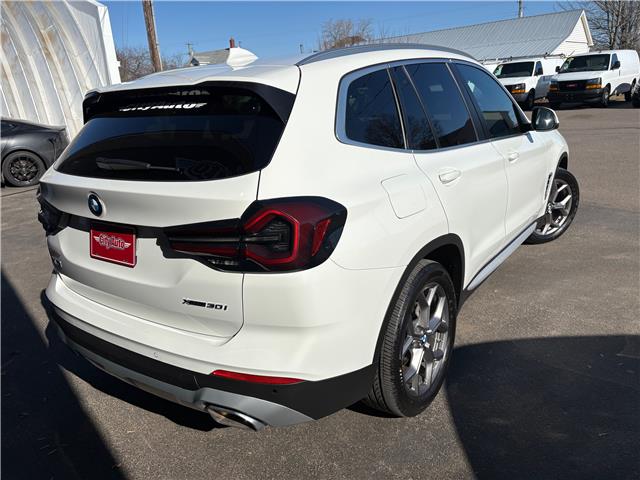 2024 BMW X3 xDrive30i in Sussex - Image 4 of 9