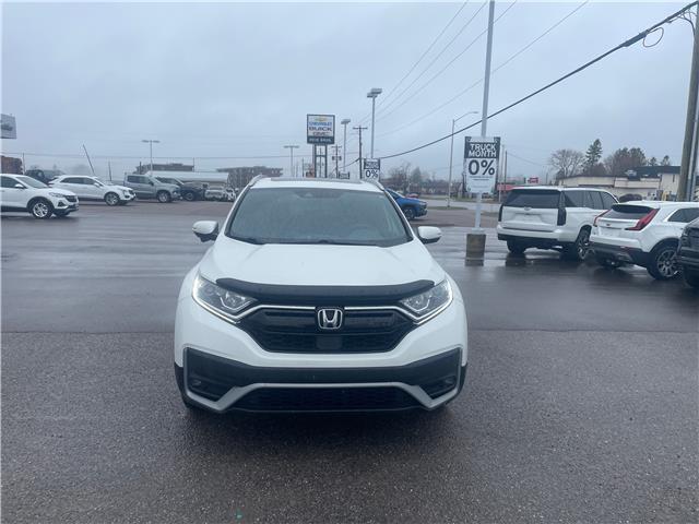 2022 Honda CR-V Sport (Stk: 2026135A) in ARNPRIOR - Image 6 of 11