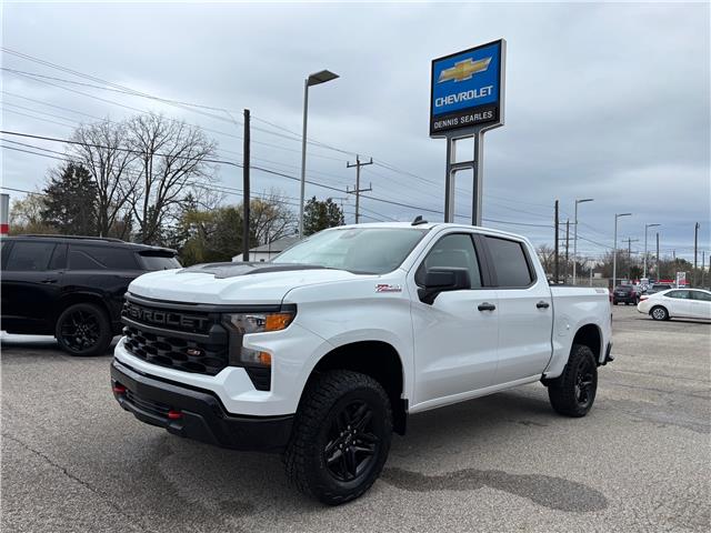 2026 Chevrolet Silverado 1500 Custom Trail Boss (Stk: TT317715) in Caledonia - Image 1 of 53