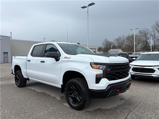 2026 Chevrolet Silverado 1500 Custom Trail Boss (Stk: TT317715) in Caledonia - Image 7 of 53