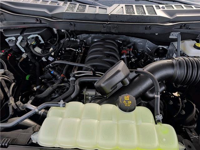 2025 Ford F-150 XLT (Stk: F5402) in Miramichi - Image 9 of 9