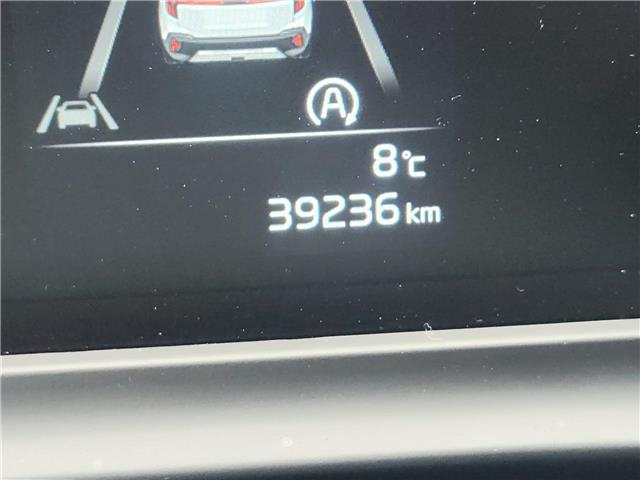 2024 Kia Seltos EX in Ottawa - Image 4 of 8