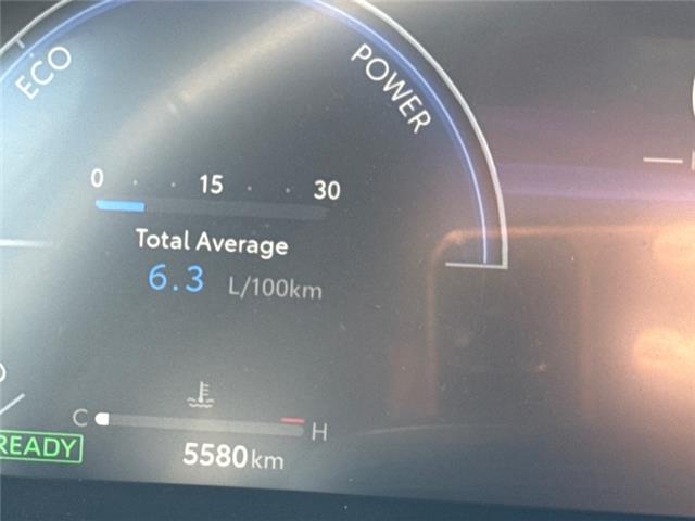 2025 Toyota RAV4 Hybrid XSE (Stk: W283569W) in Cranbrook - Image 21 of 21