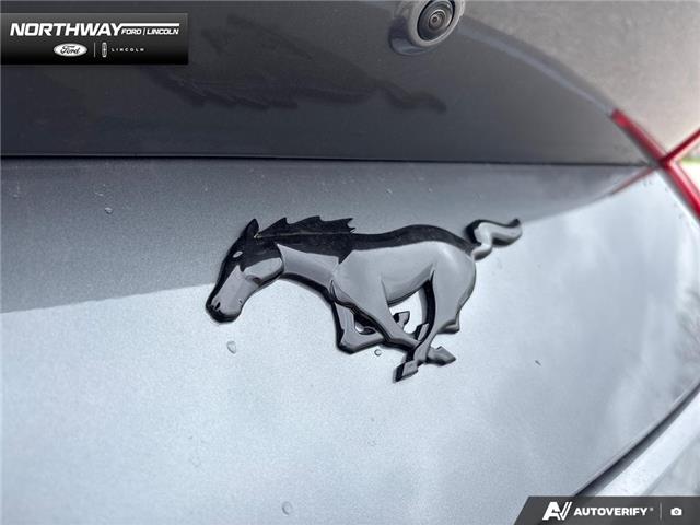 2026 Ford Mustang EcoBoost (Stk: 6MU9550) in Brantford - Image 8 of 22