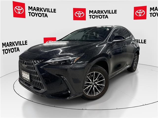 2025 Lexus NX 250 Base (Stk: 11105896A) in Markham - Image 1 of 1