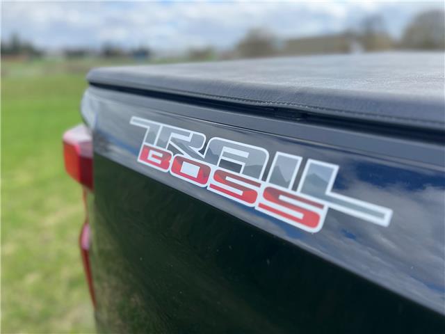 2024 Chevrolet Silverado 1500 LT Trail Boss (Stk: 924820) in New Hamburg - Image 16 of 21