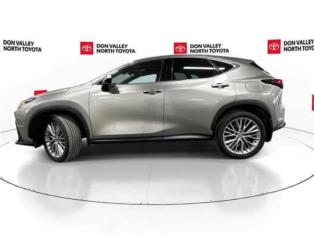 2025 Lexus NX 350 Base (Stk: 10U6584) in Markham - Image 5 of 32