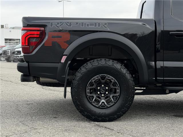 2024 Ford F-150 Raptor (Stk: DU8317) in Ottawa - Image 6 of 20 2024 Ford F-150 Raptor (Stk: DU8317) in Ottawa - Image 6 of 20