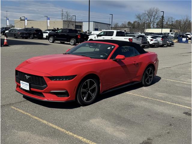 2025 Ford Mustang EcoBoost (Stk: 43198) in Georgetown - Image 1 of 16