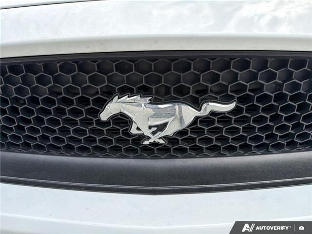 2016 Ford Mustang GT (Stk: C294017) in Richmond - Image 9 of 25