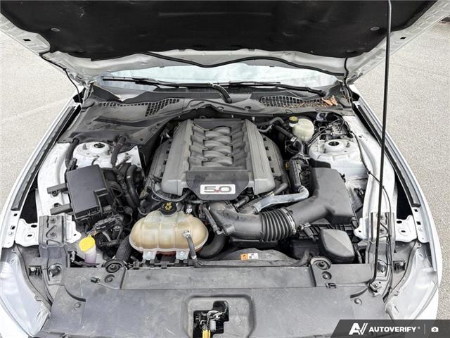 2016 Ford Mustang GT (Stk: C294017) in Richmond - Image 10 of 25