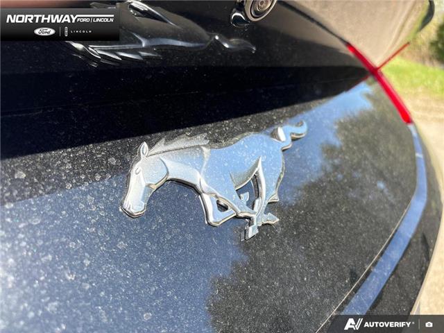 2026 Ford Mustang EcoBoost Premium (Stk: 6MU1458) in Brantford - Image 8 of 22