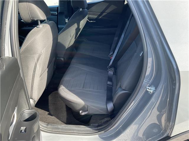 2024 Hyundai Santa Cruz  (Stk: 260327) in Kingston - Image 13 of 34