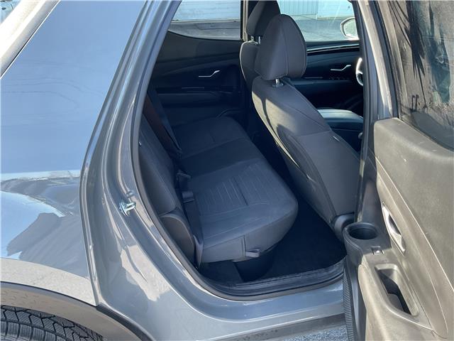 2024 Hyundai Santa Cruz  (Stk: 260327) in Kingston - Image 14 of 34